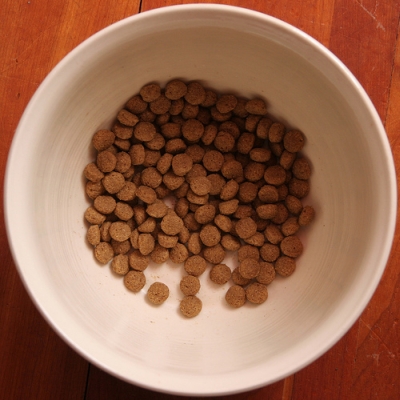 bowl of dog food