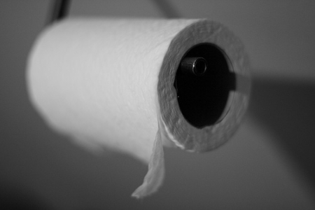 roll of toilet paper