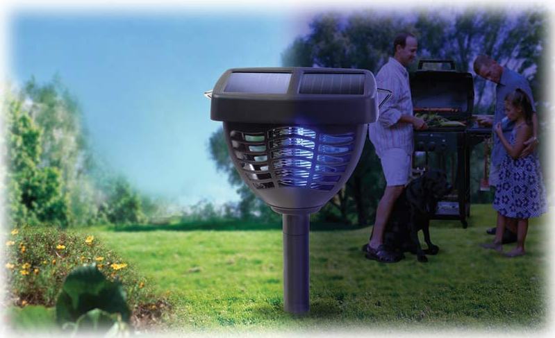 solar powered insect killer